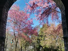 -天龙八部武侠城