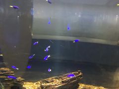 -常州海昌海洋探索馆