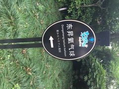 金鸡湖桃花岛-金鸡湖桃花岛