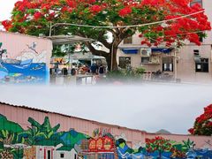 -南丫岛