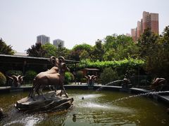 -石羊农庄