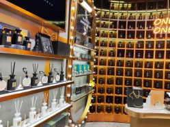 -香遇沙龙香水·调香·团建