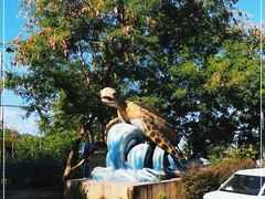 -广东惠东海龟国家级自然保护区