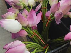 -循礼门鲜花花市(武汉循礼门店)