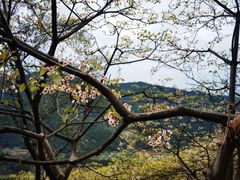 -舒家湾天主教堂