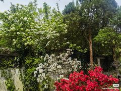 -惠山古镇·寄畅园