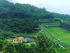 -盛之乡温泉渡假村仕林餐厅