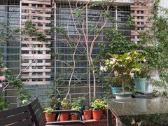 -一澜江宴·江景地标楚菜(江滩公园店)