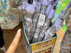 -Don Quijote(京都Avanti店)