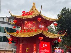 -越秀西湖花市(广州城市广场花卉店)