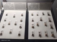 -古陶文明博物馆