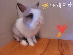 -小意思咖啡店(草桥店)