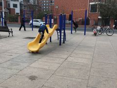 -绿岛公园(滨海新区)