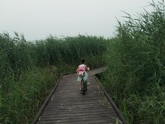 -西青郊野公园