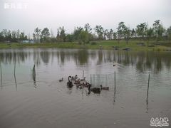 瞧着一鸭门@怡沁园-上海怡沁园度假酒店