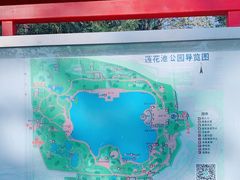 -莲花池公园