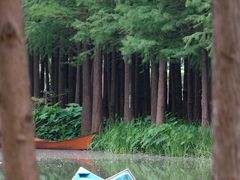 -佛冈森波拉度假区