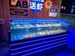 -0048鲜活香辣虾·火锅(铜陵路店)