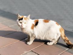 -恒达综合农贸市场(黄山路店)