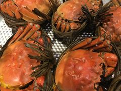 -超级物种(省府店)