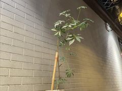 -粤色·老广州茶餐厅(河南商会大厦店)