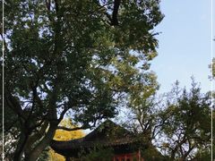 -豫园