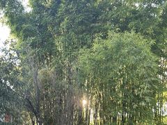 -庾园