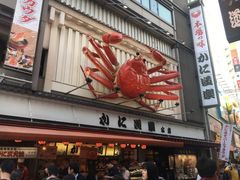 -蟹道乐(道顿堀本店)