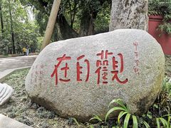 -峨眉山报国寺
