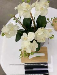 -时光海科学美肤中心