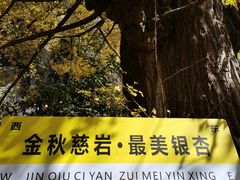 -大慈岩风景区