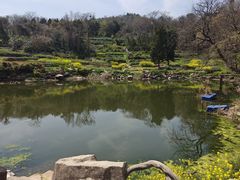 -巢湖姥山岛