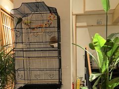 -瓦舍茶馆(聚源路店)