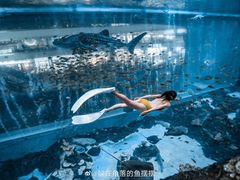 -成都浩海立方海洋公园