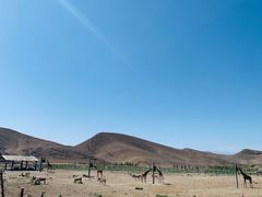 -新疆天山野生动物园