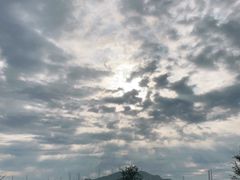-滨河世纪广场公园