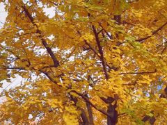 -长江路历史文化街区