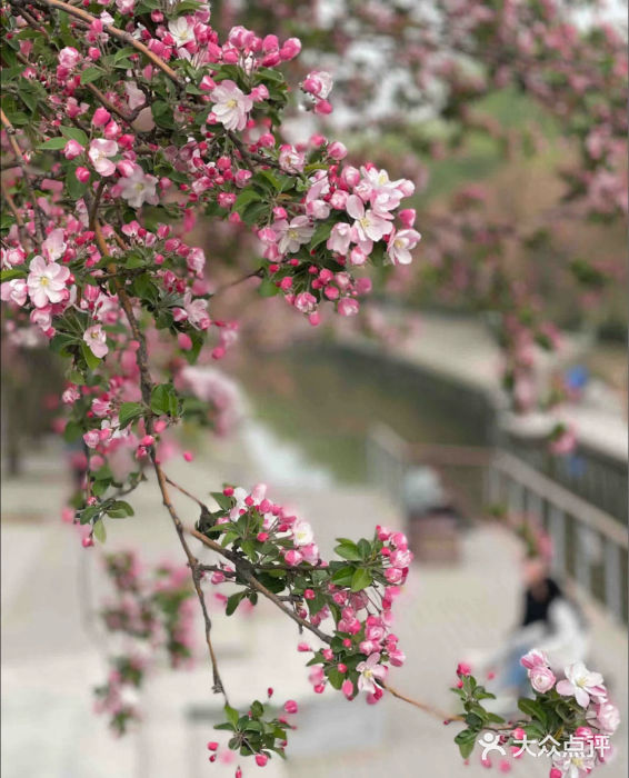 元大都城垣遗址公园图片