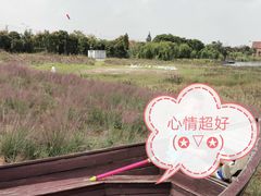 -大塘金香草谷