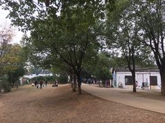 -武汉开心果园农业发展有限公司