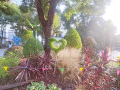 -北外滩滨江绿地