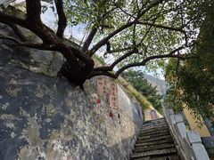 -圣莲山风景区