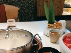 -洪氏嗨捞·猪肚鸡火锅(阳光天地店)