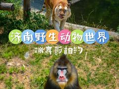 -济南野生动物世界
