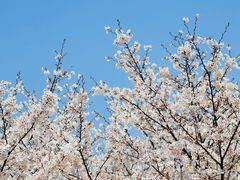 -白塘生态植物园