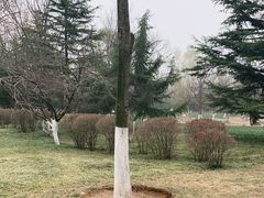 -济南植物园