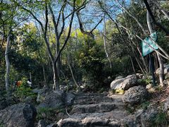 -紫金山山顶公园