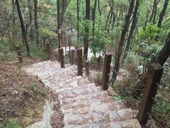 -南山植物园