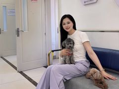 -派美特宠物医院·核磁CT·骨科肿瘤·疑难转诊(沈农禾丰店)