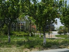 -上海滴水湖皇冠假日酒店